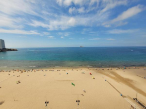 Las Damas estudio-Fincas Benidorm